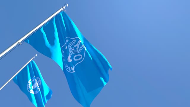 Dos banderas de la FAO