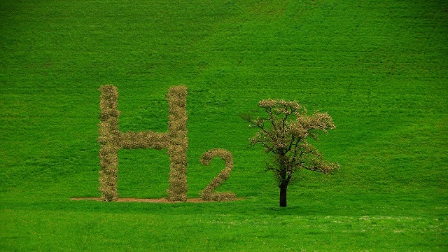 Claves del desarrollo del hidrógeno verde en Alemania