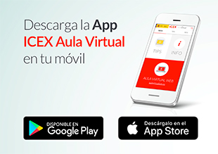 Aula Virtual banner digitalxborder