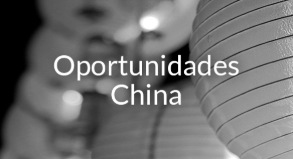 Aula Virtual ICEX oportunidades China