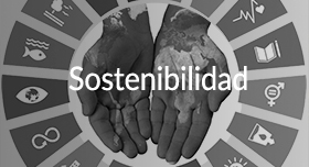 Aula Virtual - Sostenibilidad