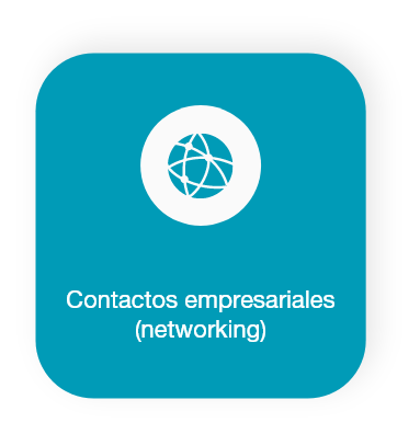 Contactos empresariales (networking)