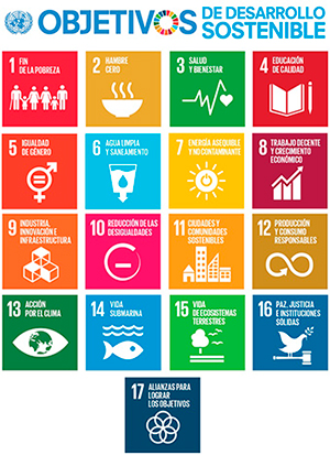 Listado con los 17 Objetivos de Desarrollo Sostenible de la ONU encajados en 17 cajas de colores con logos