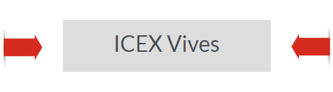 recuadro gris con el título ICEX Vives