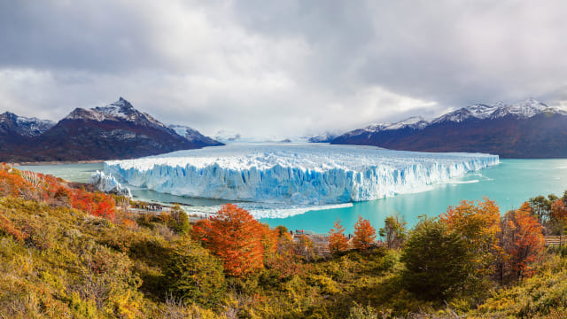 glaciar en medio de agua helada y árboles en colores verdes y marrones en primer plano