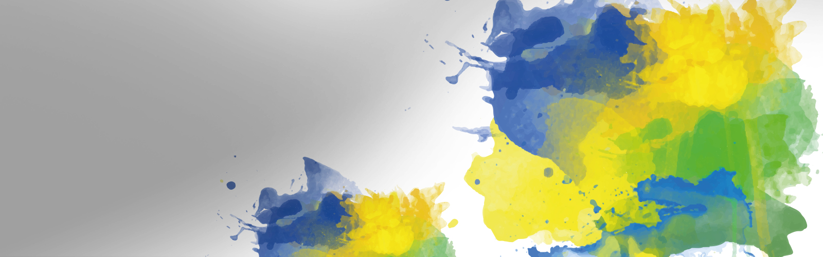 JORNADAS MULTILATERALES BRASIL 2024