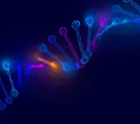 Cadena de ADN con colores azul oscuro, azul claro, morado y amarillo.