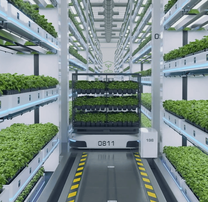 sala blanca con plantas de hojas verdes en varios estantes