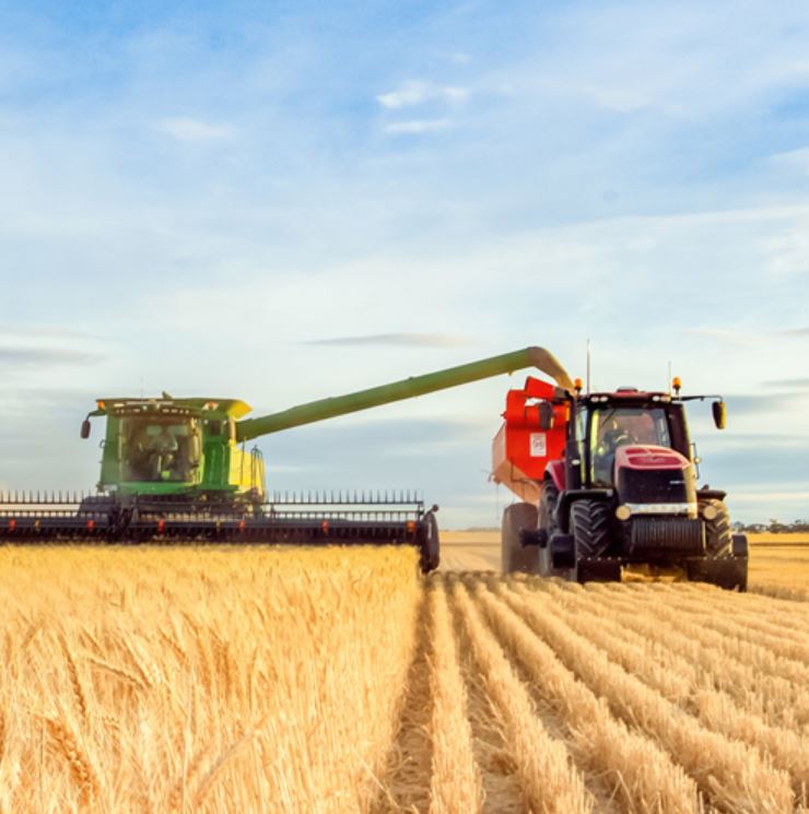 Un tractor con una cosechadora está arando un campo de trigales