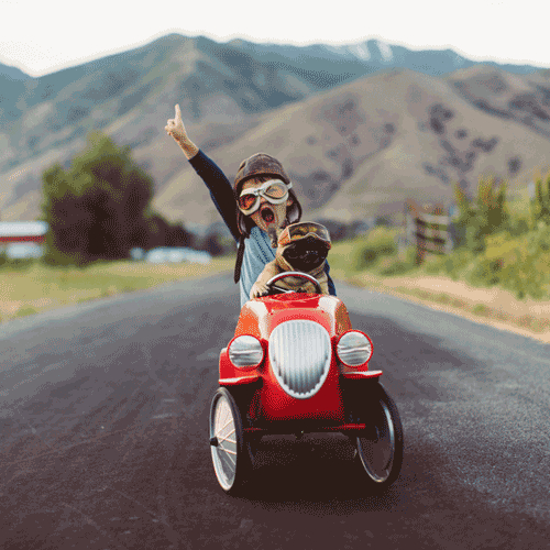 Un niño con casco de piloto antiguo y acompañado de un perro bulldog francés, monta un coche de juguete en medio de una carretera.