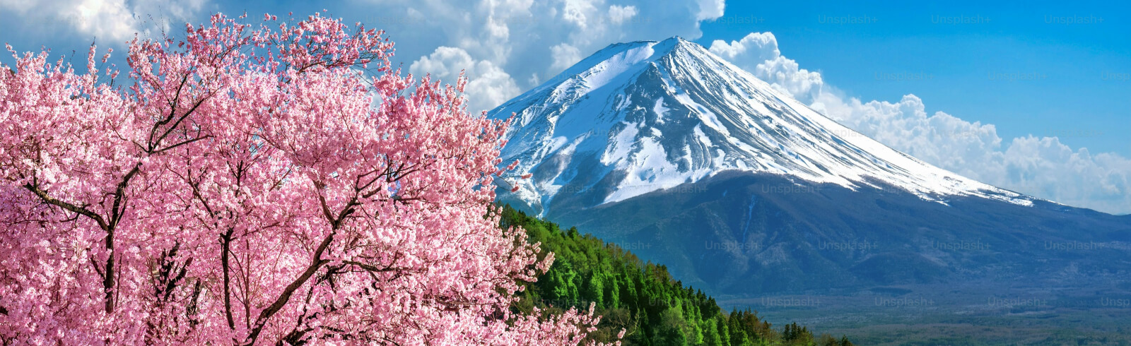 Japon