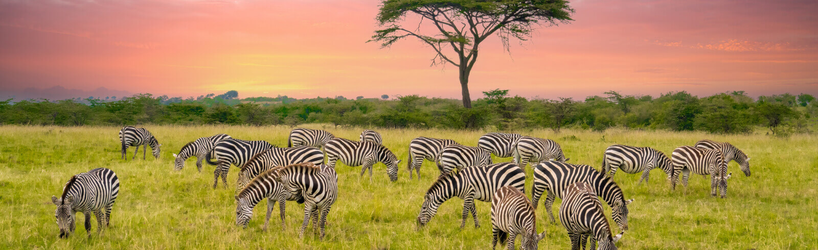 Kenia