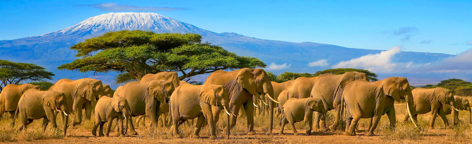 Tanzania