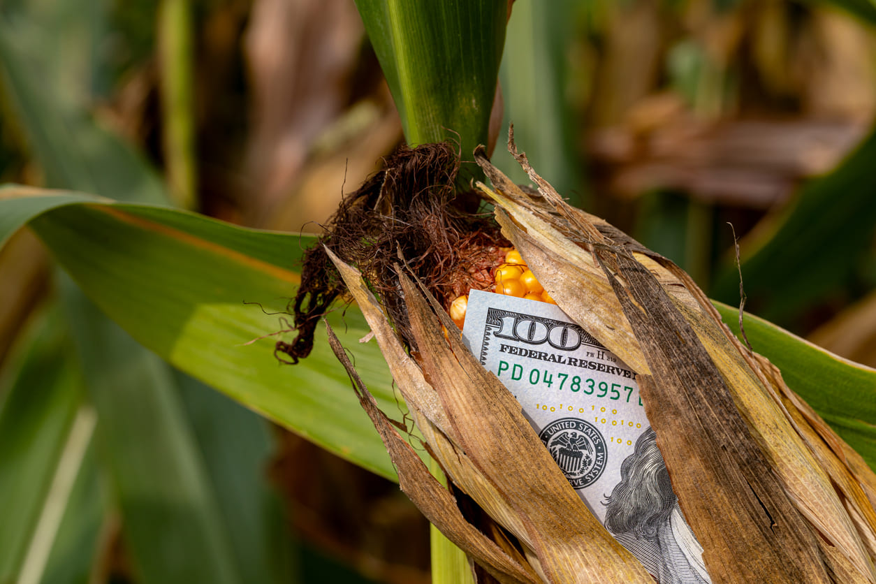 Imagen Enmienda Noticia Aranceles Noviembre 2