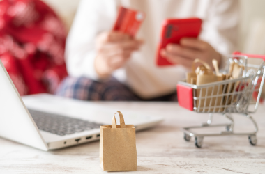 Una persona compra online con ordenador, bolsa, carro y tarjeta de crédito