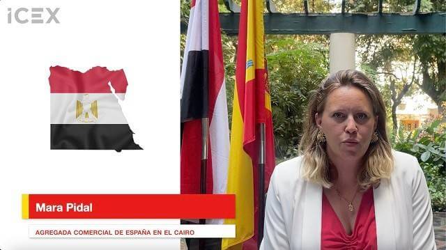 principales conclusiones mara pidal