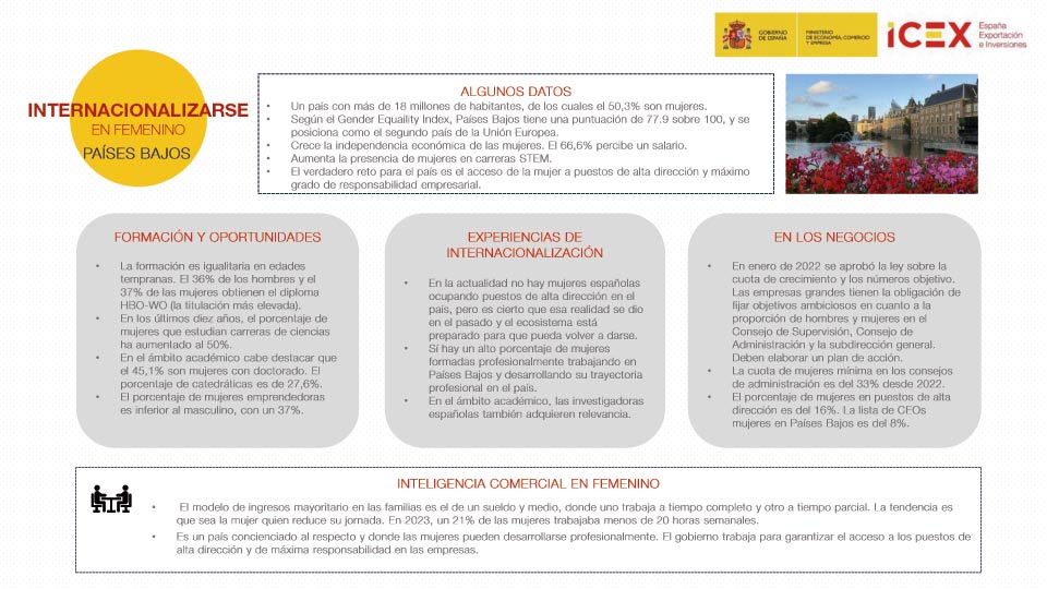 Infografía sobre internacionalizarse en femenino en  Países Bajos