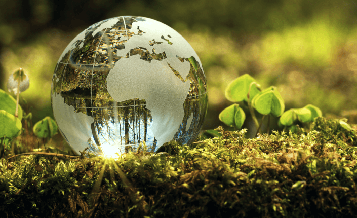 La Tierra se refleja en un globo de vidrio colocado sobre la hierba, creando una imagen de belleza natural y serenidad