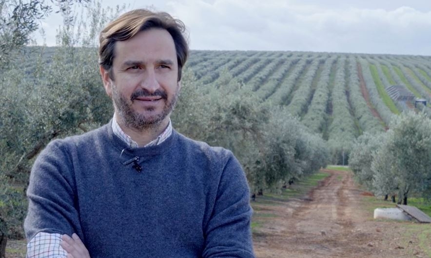 Hombre con barba de tres días y un jersey azul con un olivar de fondo.