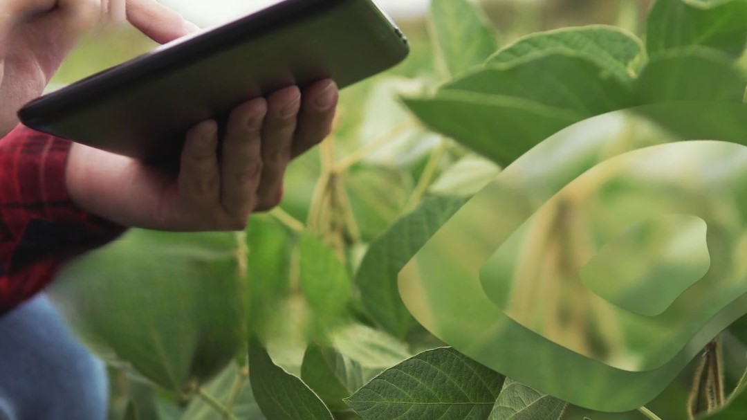 Diferencia tu estrategia gracias a la sostenibilidad