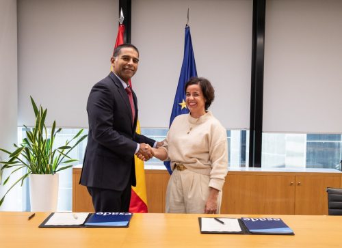 Dos personas de pie levantadas dándose la mano con dos banderas al fondo