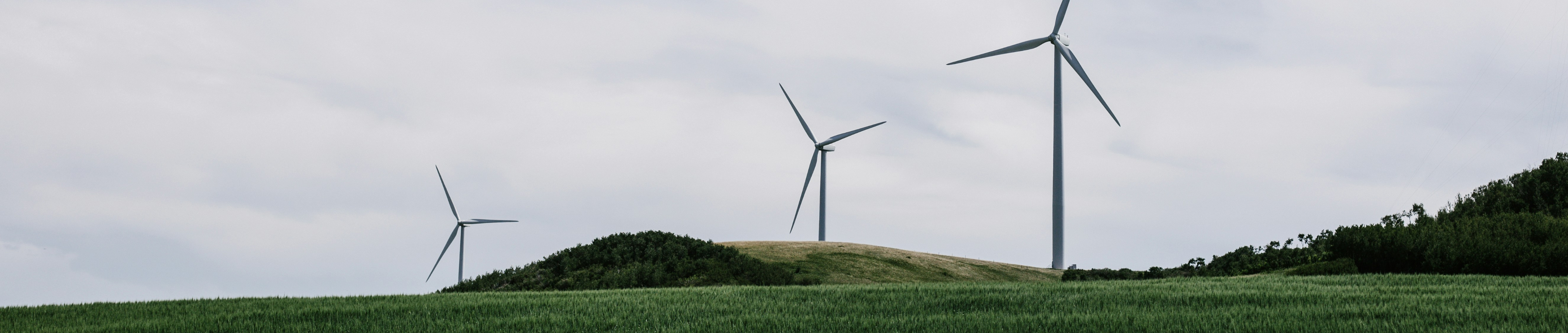  Molinos eólicos aprovechando la fuerza del viento