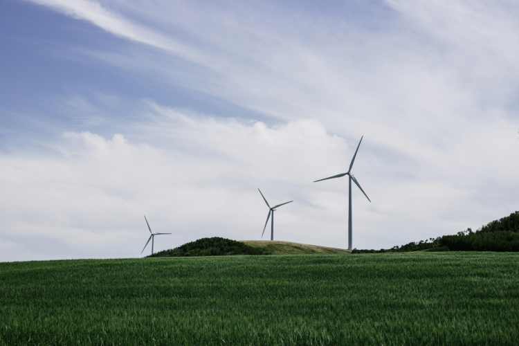  Molinos eólicos aprovechando la fuerza del viento