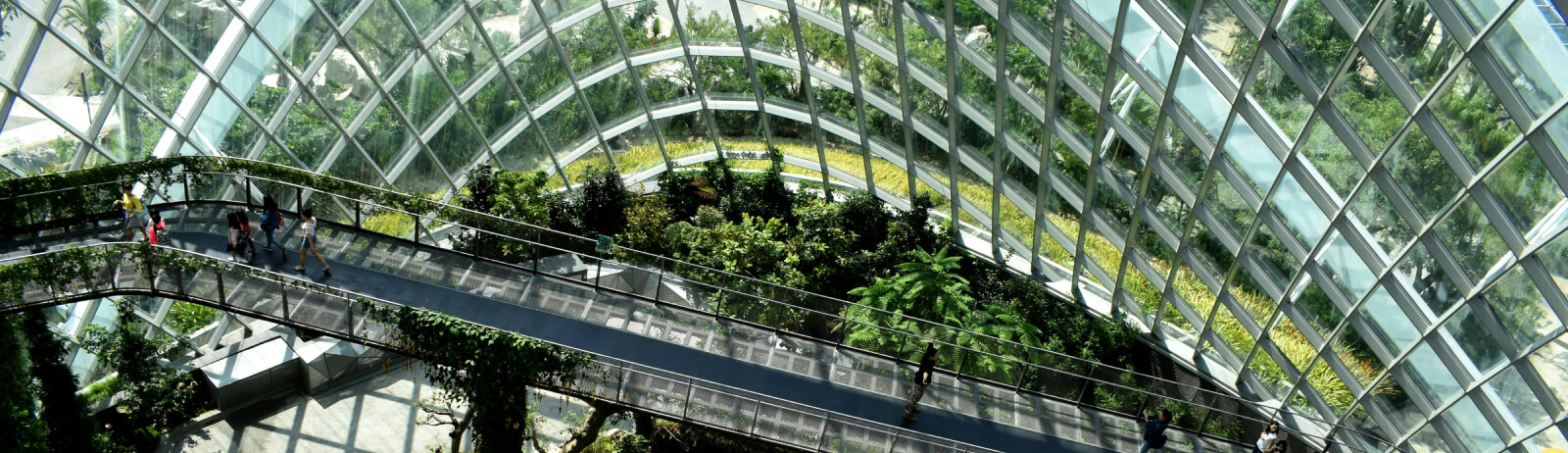 Jardín botánico interior con techo de cristal curvo, exuberante vegetación y una pasarela por donde pasa la gente