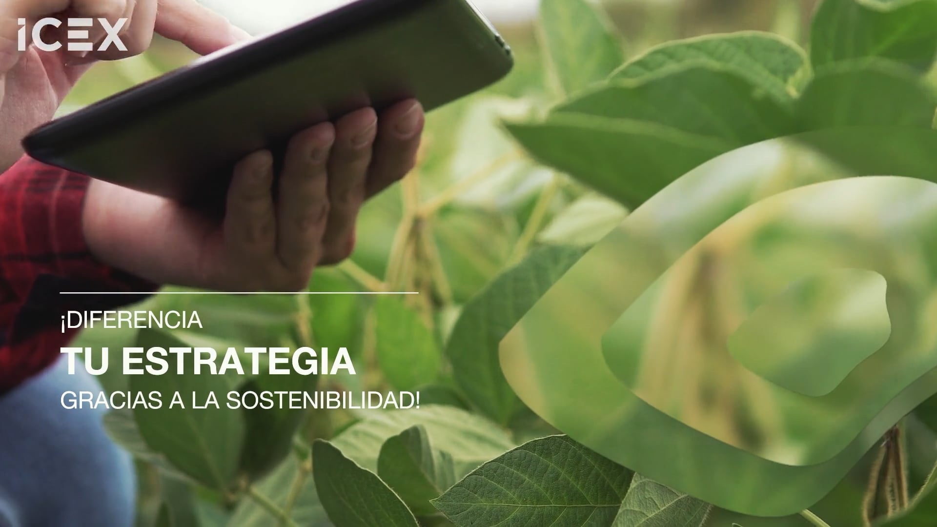 Diferencia tu estrategia gracias a la sostenibilidad