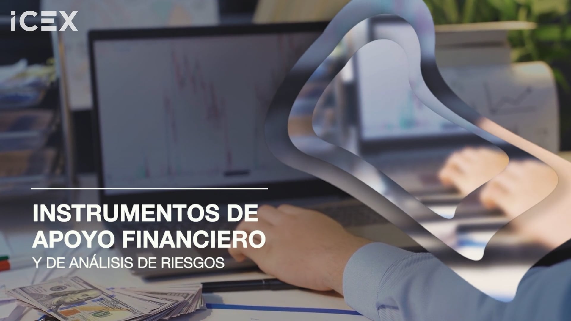 Instrumentos de apoyo financiero y de análisis de riesgos