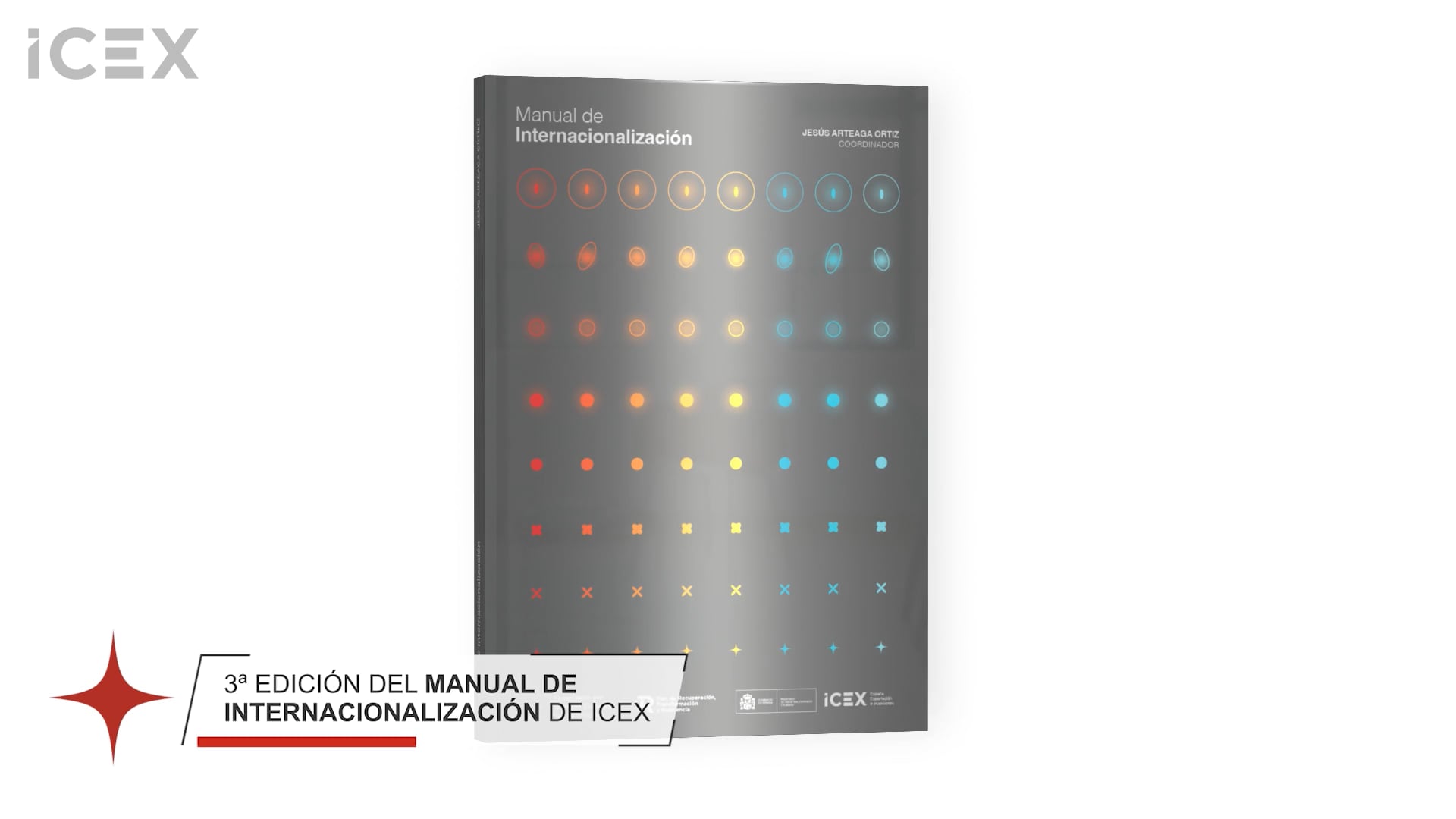 Manual de Internacionalización de ICEX - 3ª edición