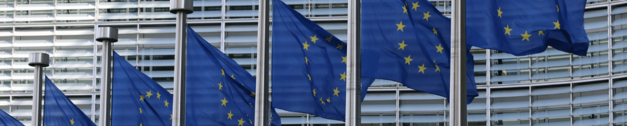 Seis banderas de la Unión Europea delante de un edificio oficial con ventanas de rejilla