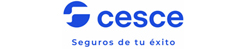 palabra CESCE con letras de color azul
