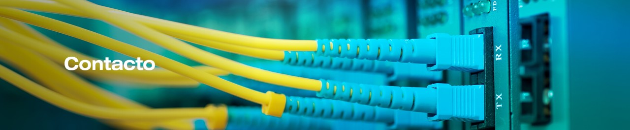 cables amarillos y azules sobre una clavija