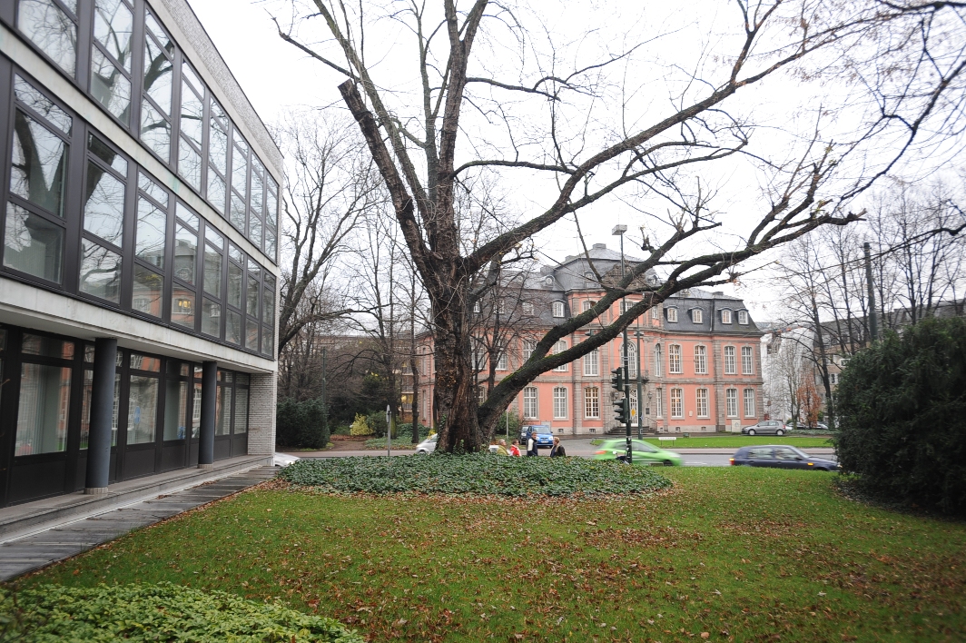 Foto centro de negocio en Düsseldorf