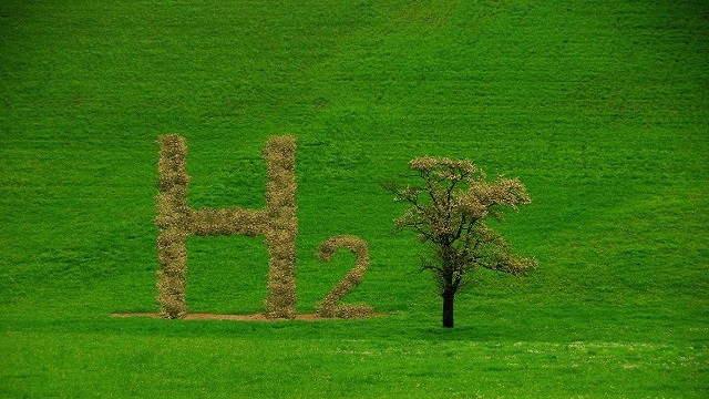 hydrogen h2 letters with brown leaves like a tree on a green meadow in the nature