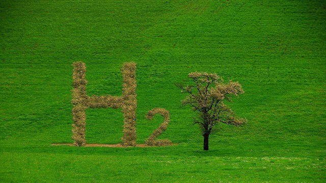 hydrogen h2 letters with brown leaves like a tree on a green meadow in the nature