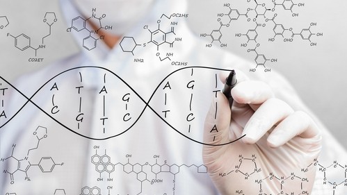 Un científico dibuja una cadena de ADN