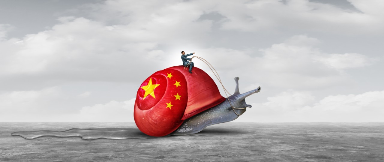 Un hombre lleva las riendas de un caracol gigante en cuya concha está pintada la bandera de China
