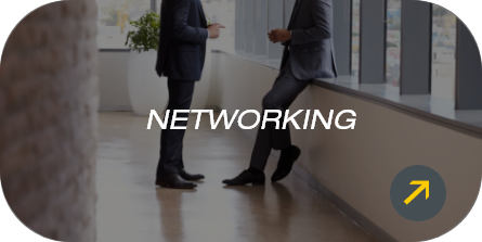Entra y consulta nuestro catálogo de servicios de networking