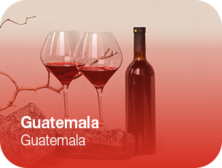 cata de quesos en Varsovia