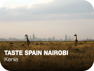 Taste Spain Nairobi. Kenia. Descampado con dos jirafas y una ciudad al fondo